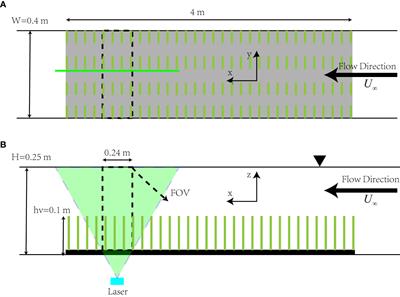 Hydrodynamics affected by submerged vegetation with different flexibility under unidirectional flow